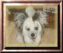 In A Newyork Minute N'Co.