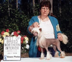 Jewels Could This Be Magic