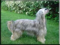 Johtina's Holabaloo Here We Go