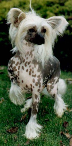 Jokima Je M'Appelle Ashley