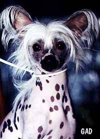 Jokima Journee Ensoleillee