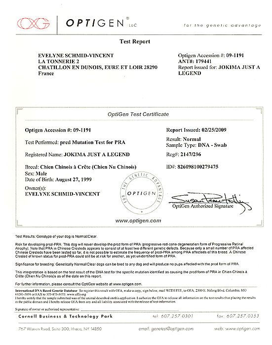 Jokima Just A Legend - SOM