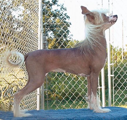 Jonbrecy's Bubblin' Luv