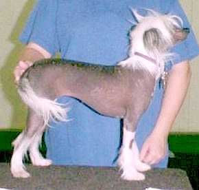 Jonbrecy Sweet Surrender