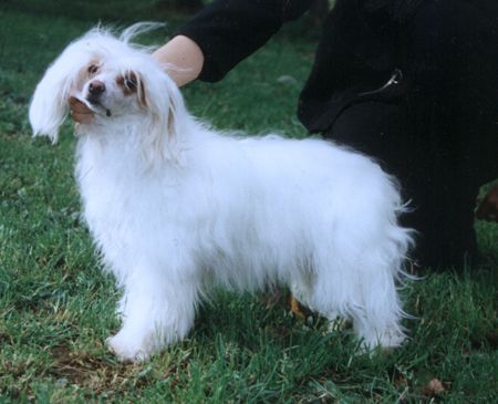 Joyway's Again And Again