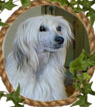 Just Call Me Lucky Luke