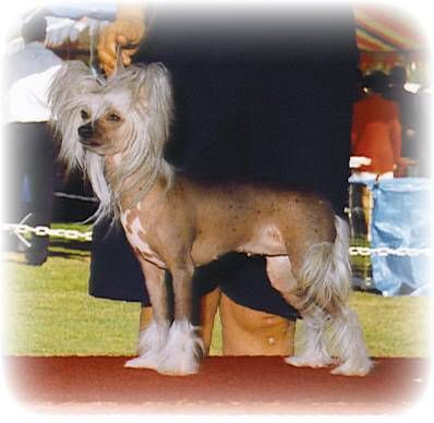 Kalon's Empress of Azuryn