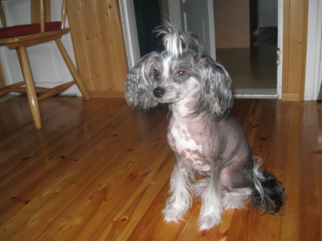 Kaunisvirran Aamu Mette