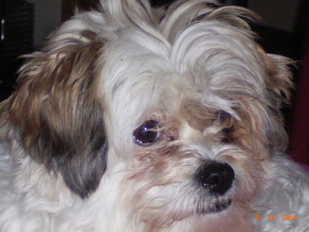 Kazlyn Gremlin In Grunge