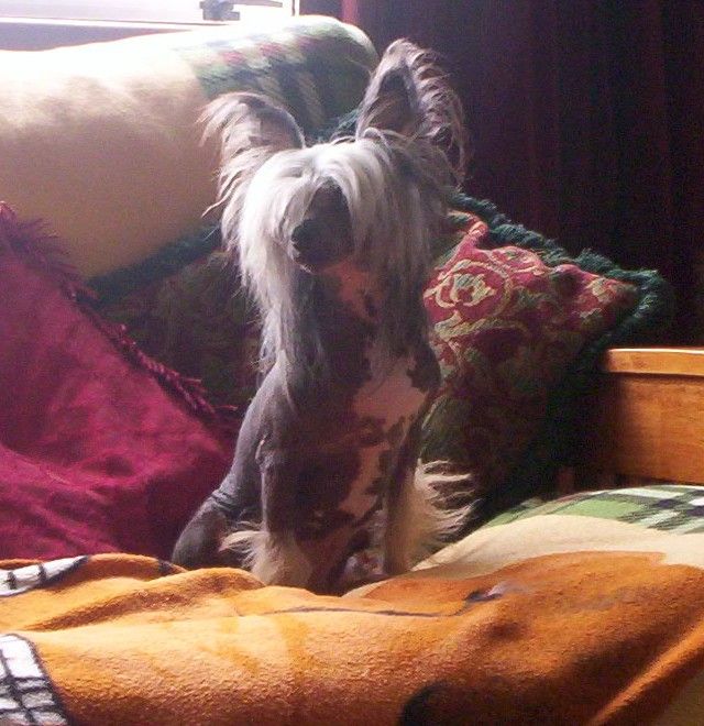 Kilfenora Wild Child