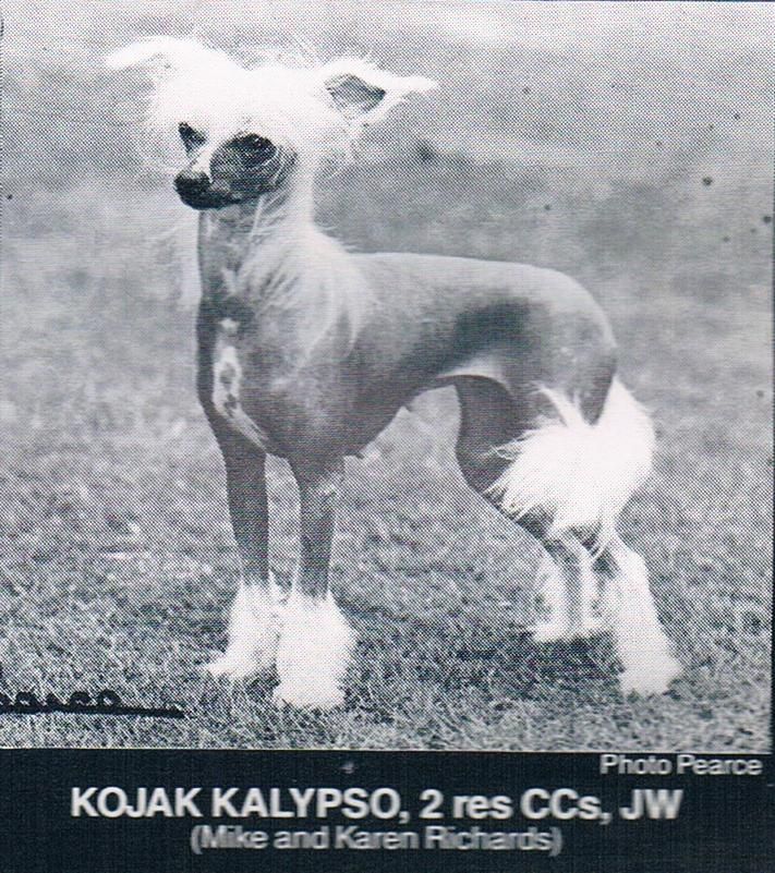 Kojak Kalypso