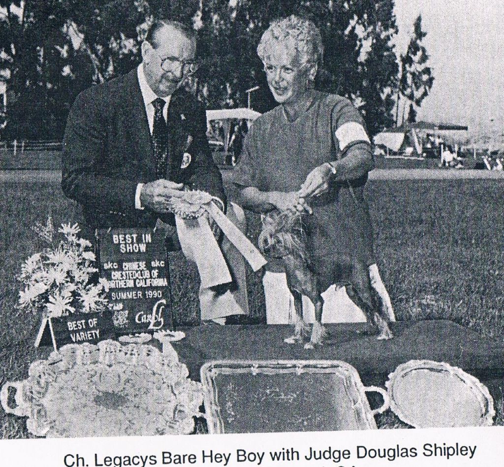 Legacy's Bare Hey Boy