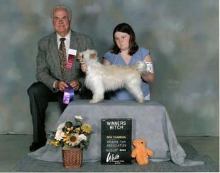 Lindawn's Moonlight Mist