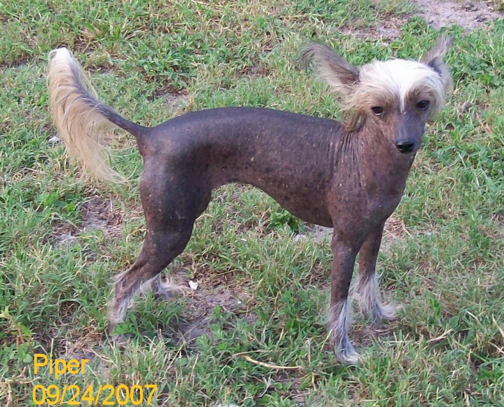 Lynlin Charmed I'm Sure By Deekay