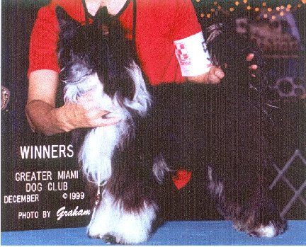 Lyn-Lin's Puttin On The Ritz