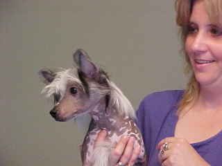 Makara's Sweet Utopia