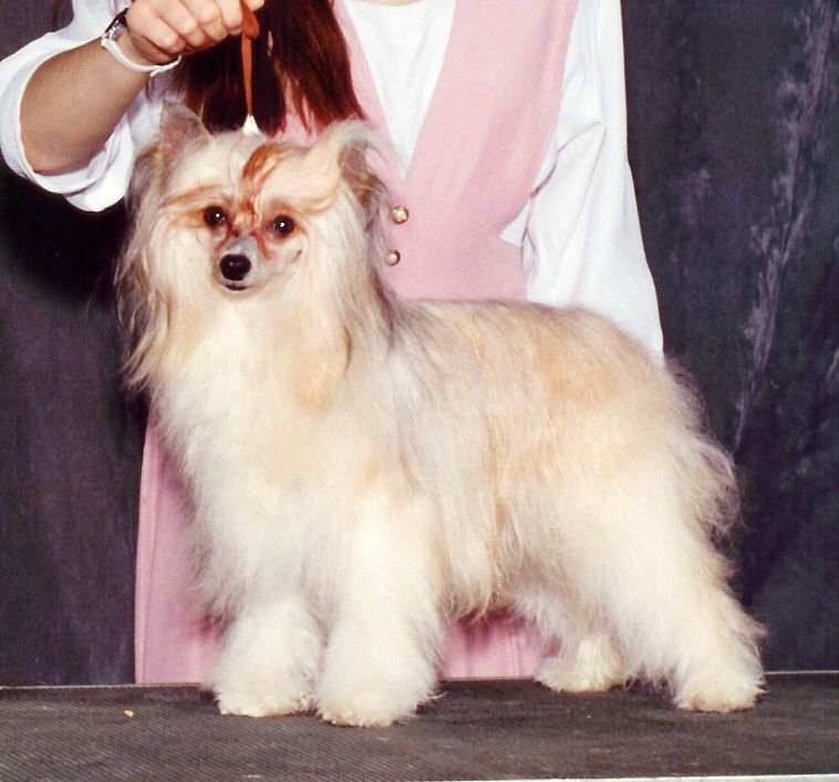 Makara's Twinkling Star