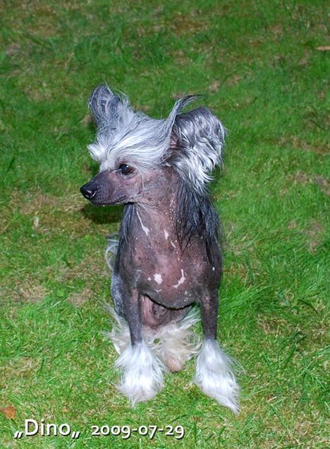 Maldinis Krystal Gazing