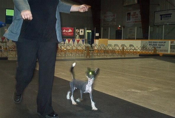 Marbels Nekkid And Lovin It