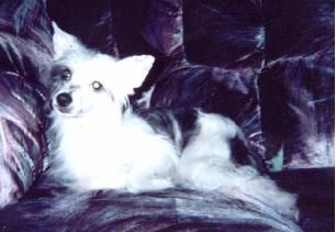 Marbels Sarai Scheme A Dream