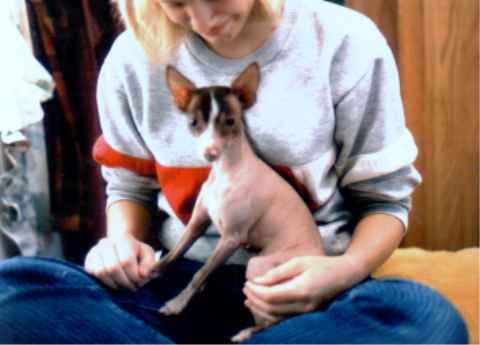 Meg N Astatement O'Ebon Will