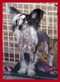 Mohawk Unchained Melody