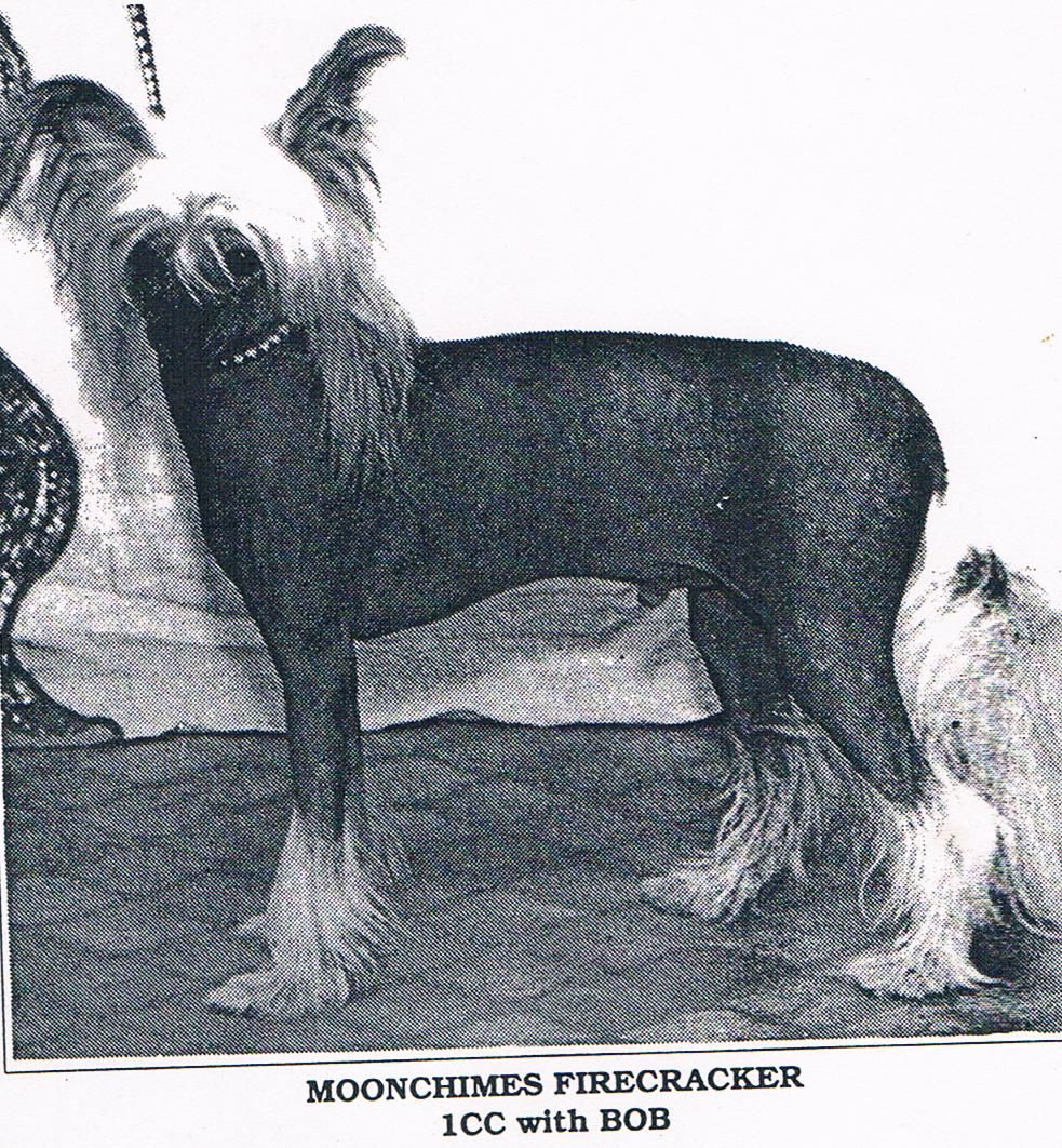 Moonchimes Fire Cracker