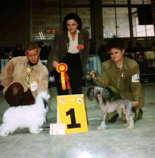 Moonswift Candle In The Wind