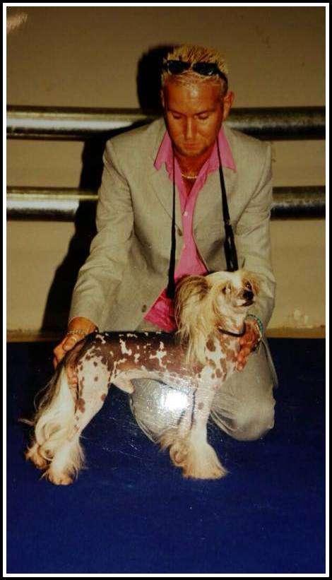 Moonswift Circus Pony