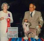 Moonswift Iced Diamond