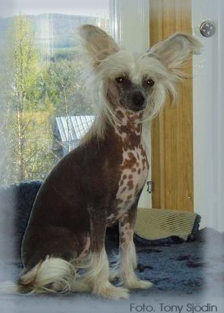 Mydestiny Take A Break Ally