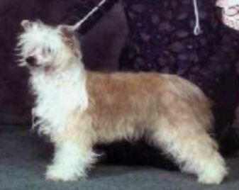 Nakota Pepsi Cola Princess