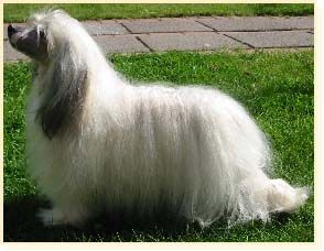 Noon's First Facing Facts