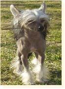 Noon's First Jambalaya And Jazz