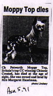 Petworth China's Moppy Top