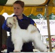 Phoenix's Explosive Action