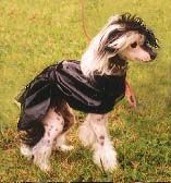 Pinku's Pricku's Lovely Rita