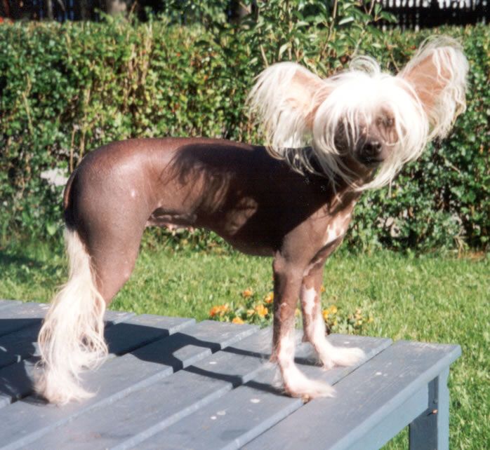 Prefix Irma La Douce