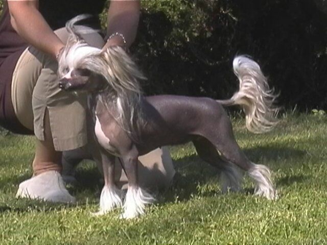 Prefix Maria Magdalena