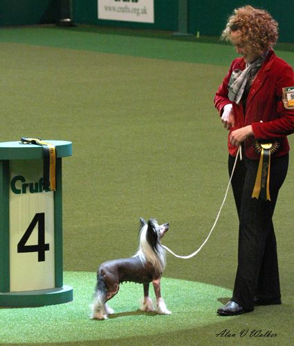 Prefix Really Something