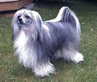 Prefix Remington Steel