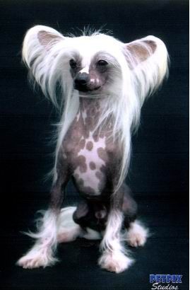 Prefix Smoke On The Water