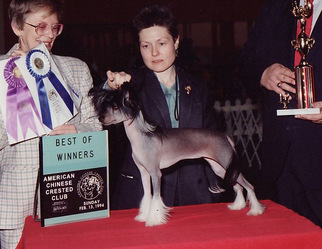 Razzmatazz Chinese Rock