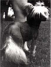 Razzmatazz Great Expectations