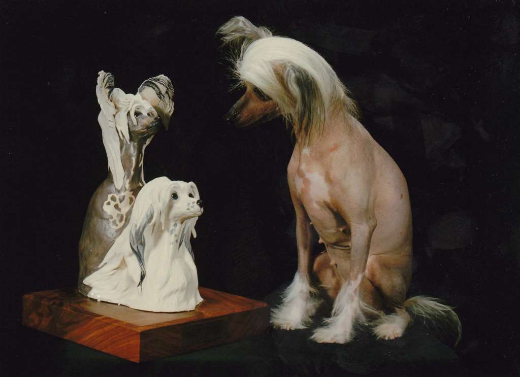 Razzmatazzmanian Stripper