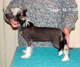 Redland's Top Secret