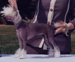 Rompford Angel In Disguise