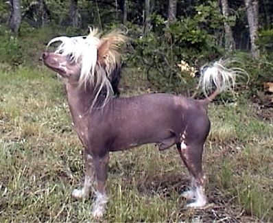 Row-Sand's Totally Bill