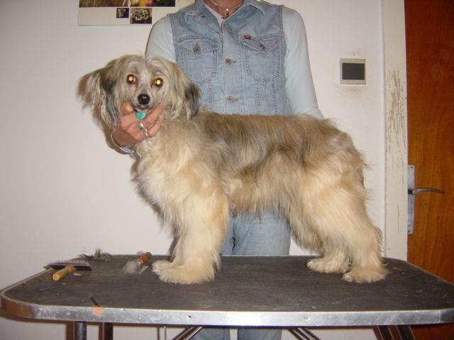 Sasquehanna Eksplozja