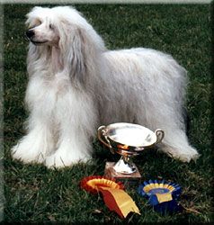 Sea Fire's Missy More